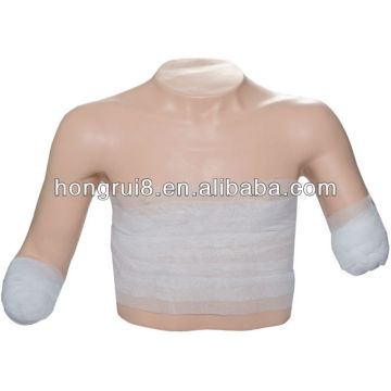 ISO Clinical Bandaging Model in Superior Position, Wound Care, Wound Dressing Model